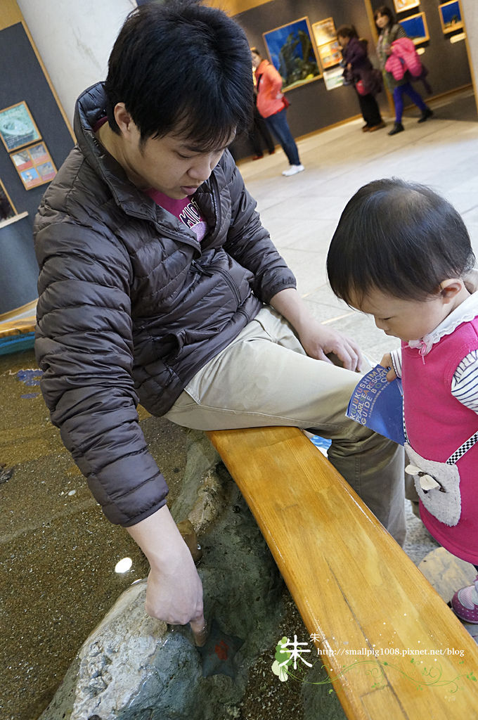 1DSC1302.jpg 1DSC1302.jpg