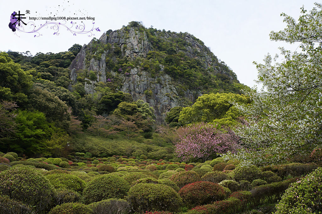 1DSC1488.jpg 1DSC1488.jpg