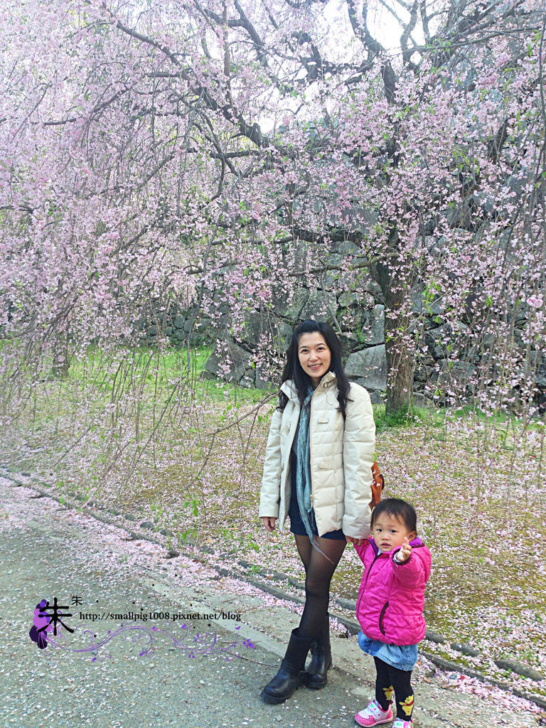 1IMG_4408.jpg 1IMG_4408.jpg