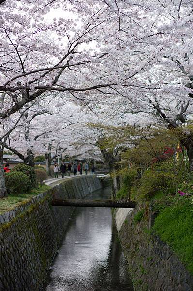 L1002632.jpg L1002632.jpg