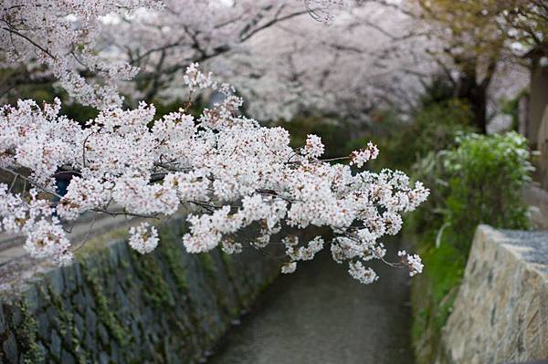 L1002636.jpg L1002636.jpg