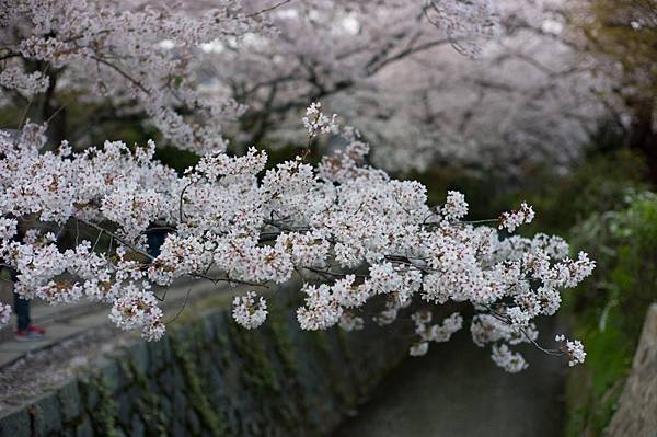 L1002637.jpg L1002637.jpg