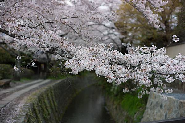 L1002640.jpg L1002640.jpg