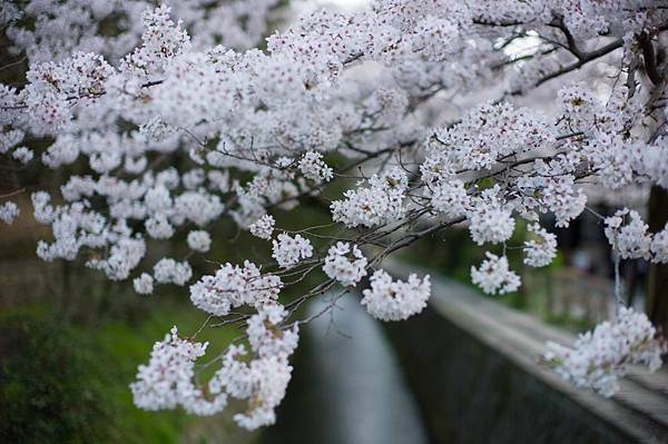 L1002655.jpg L1002655.jpg