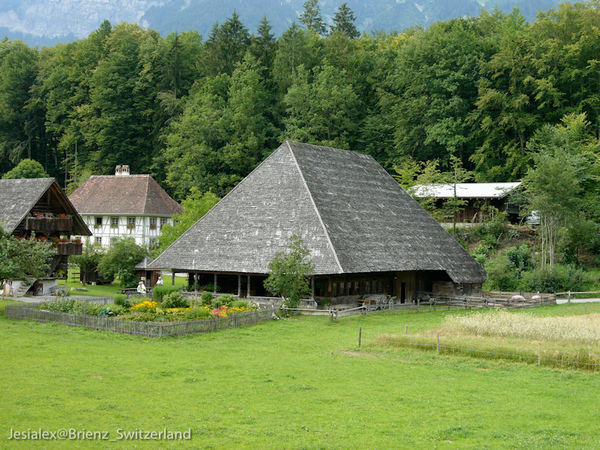 L1030718.jpg L1030718.jpg