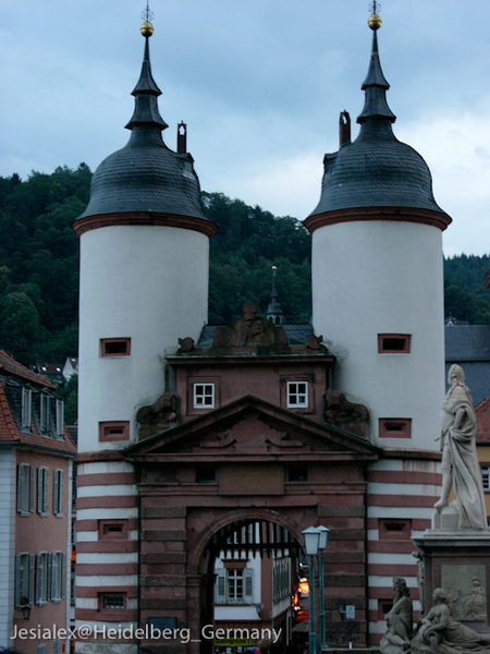 L1040482.jpg L1040482.jpg