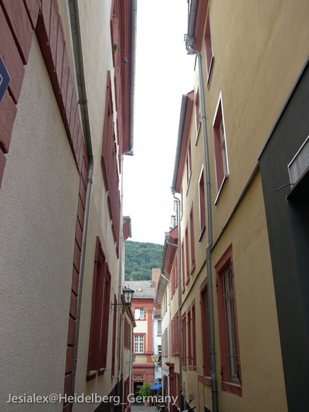 L1040464.jpg L1040464.jpg