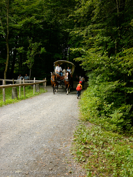 L1030689.jpg L1030689.jpg