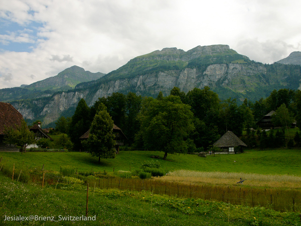 L1030700.jpg L1030700.jpg