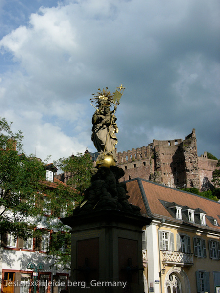 L1040447.jpg L1040447.jpg