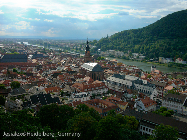 L1040427.jpg L1040427.jpg