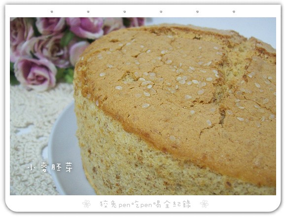 110_8078.jpg 110_8078.jpg