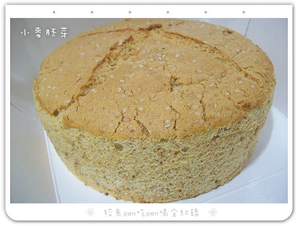 110_8013.jpg 110_8013.jpg