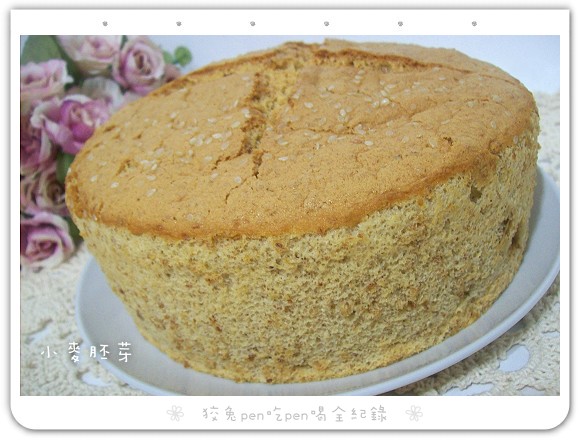 110_8061.jpg 110_8061.jpg