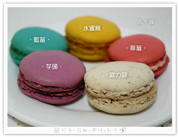 入片 入片