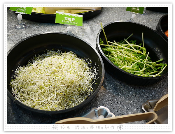 請輸入圖片標題