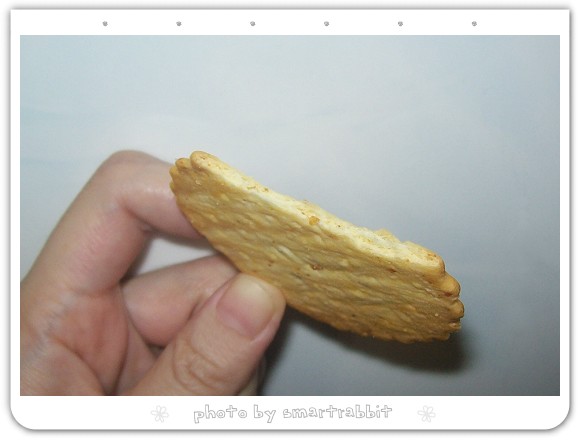 104_5801.jpg 104_5801.jpg