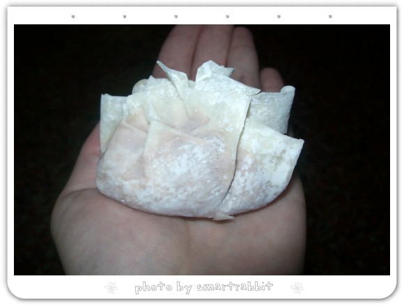 104_6937.jpg 104_6937.jpg