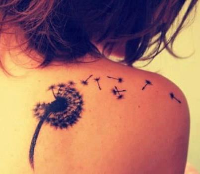 579874_299785463450543_1150218004_n