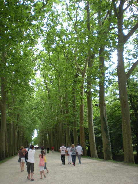 1007-002859.jpg 1007-002859.jpg