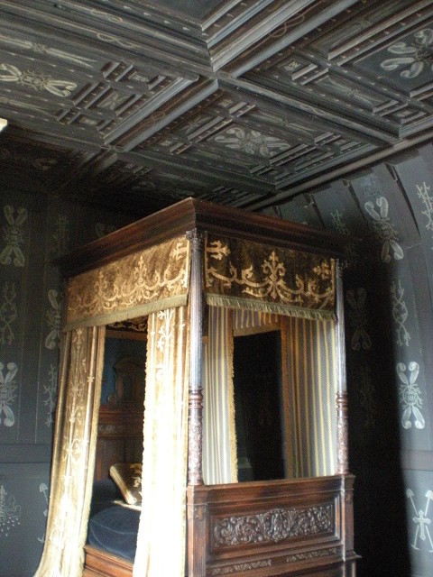 DSCN5645.jpg DSCN5645.jpg