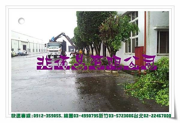 找尋！龜山鋸樹修剪公司快來看這是一間值得信賴的樹枝修樹公司，