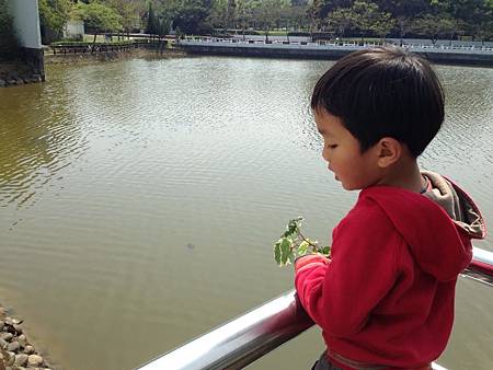 Evernote Camera Roll 20130313 011830