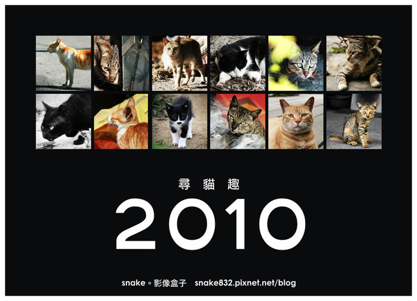 2010尋貓趣00.jpg