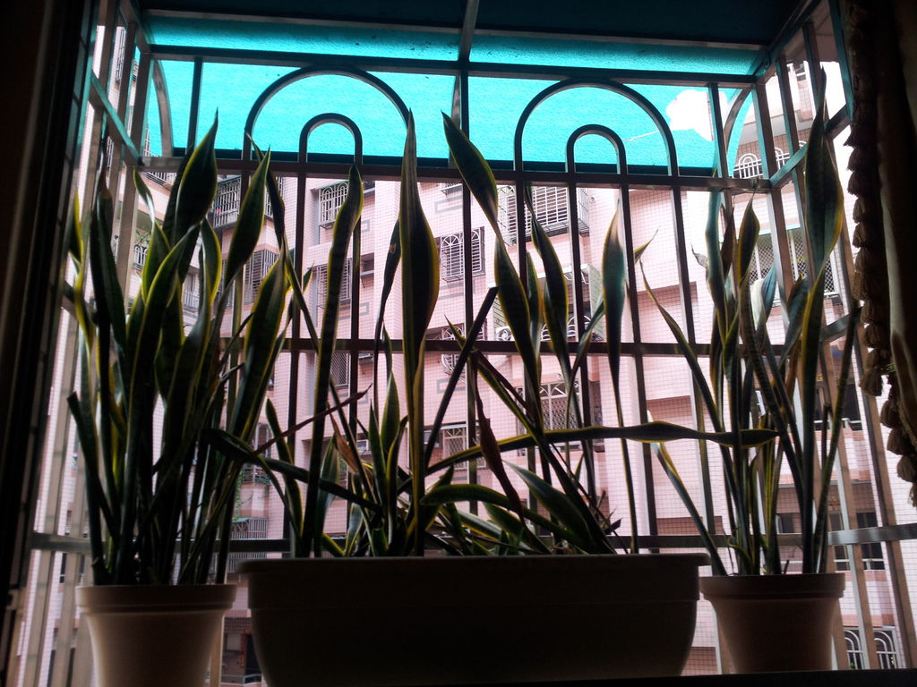 20140115_095054.jpg 20140115_095054.jpg