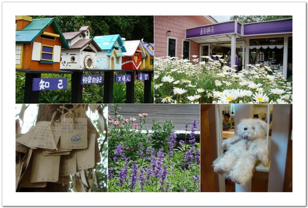 這是第二次來薰衣草森林尖石店了 這是第二次來薰衣草森林尖石店了