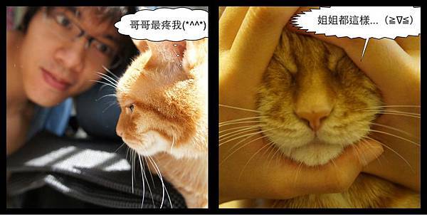 220954_466354920052728_1221686514_o 220954_466354920052728_1221686514_o