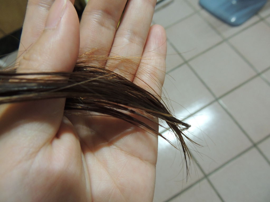 DSCN4485.JPG DSCN4485.JPG