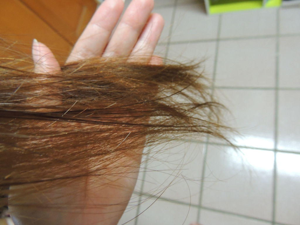 DSCN4489.JPG DSCN4489.JPG