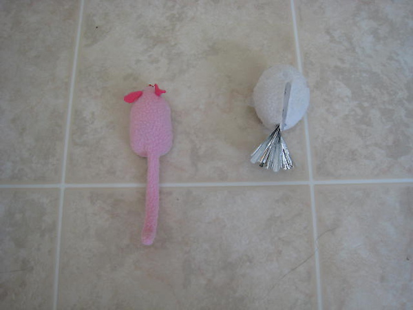 IMG_6593.JPG IMG_6593.JPG