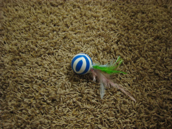 IMG_6674.JPG IMG_6674.JPG