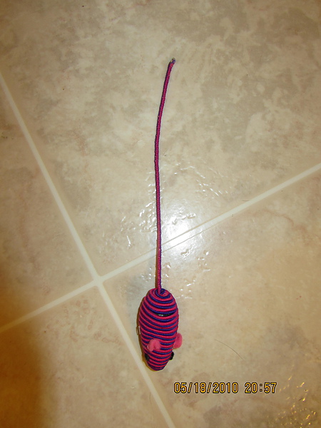 IMG_0339.JPG IMG_0339.JPG