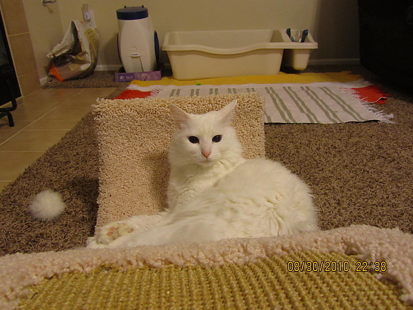 IMG_5664.JPG IMG_5664.JPG