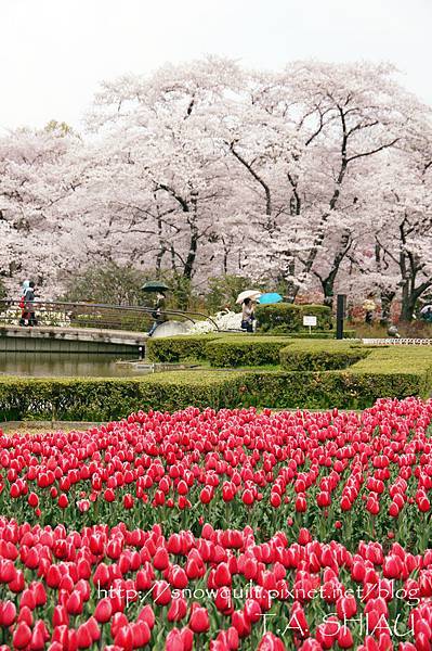 京都府立植物園