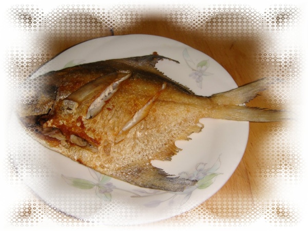 DSC01259a.jpg DSC01259a.jpg