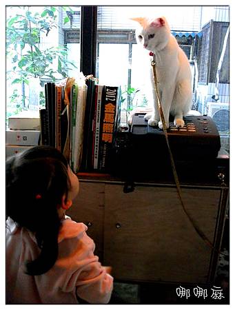 小孩與貓 小孩與貓