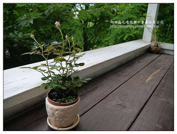 小花盆 小花盆