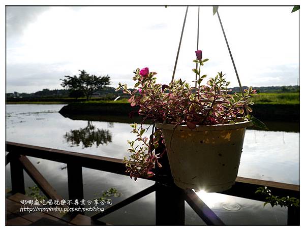 花籃 花籃