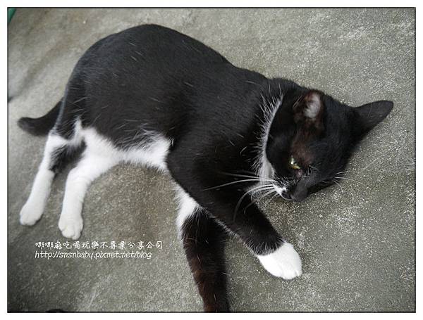 撒嬌 撒嬌