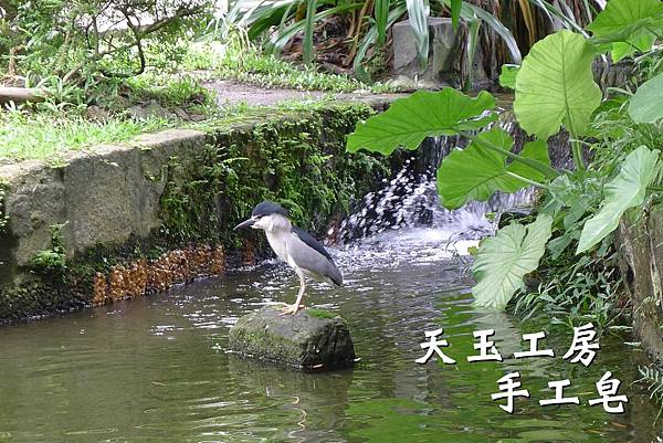 緣起 1 緣起 1