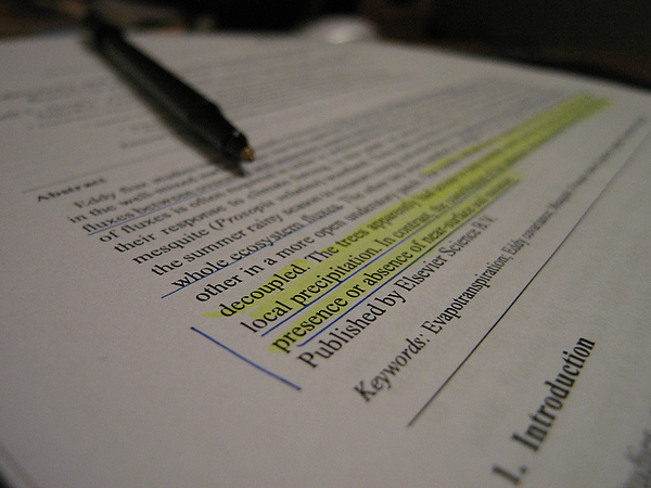 Paper Paper