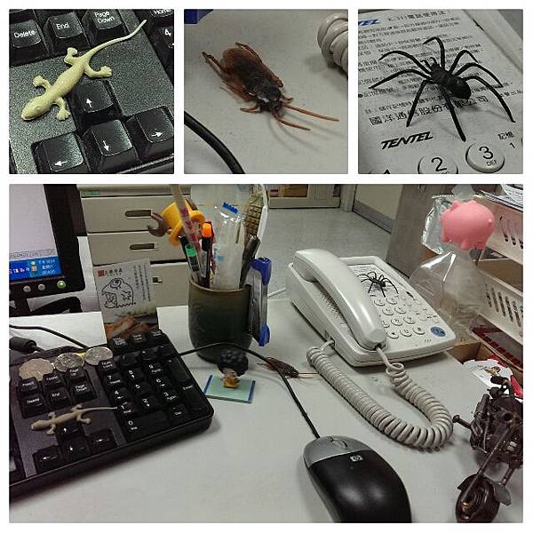 collage_20140301180814628