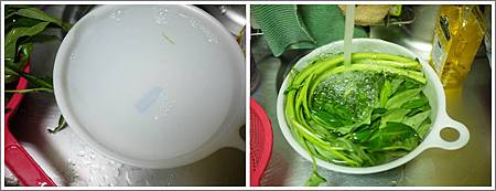 沖洗蔬菜.jpg