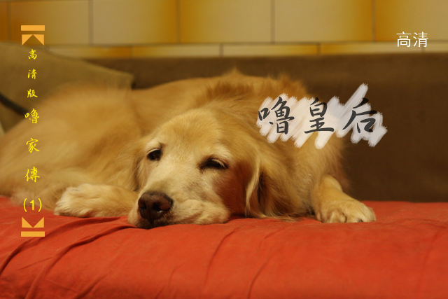 IMG_5727拷貝 IMG_5727拷貝