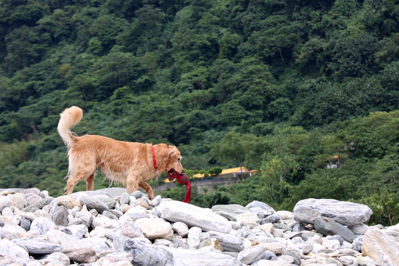 IMG_5568.JPG IMG_5568.JPG