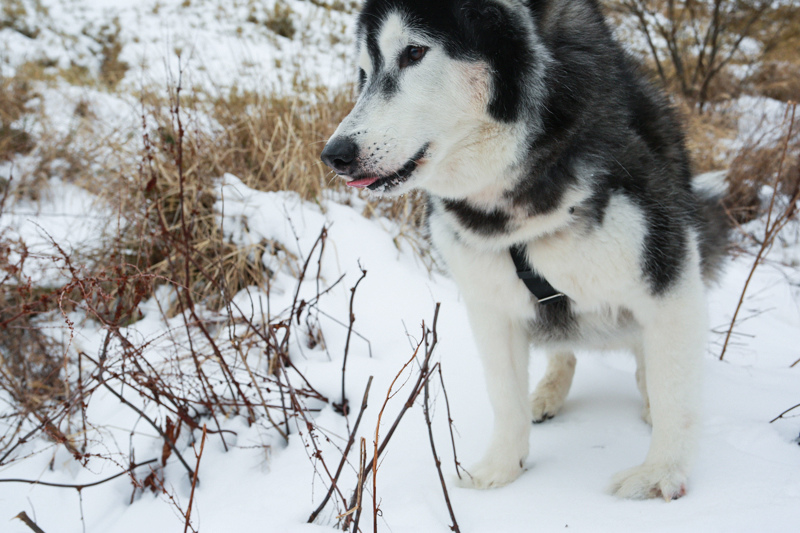 3M7A7869.jpg 3M7A7869.jpg